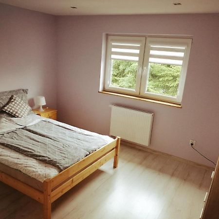 Apartamenty Wiktora ポラニツァ・ズドゥルイ エクステリア 写真