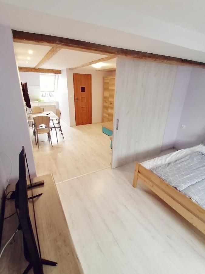 Apartamenty Wiktora ポラニツァ・ズドゥルイ エクステリア 写真